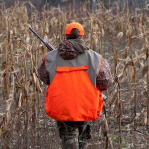 How Do Game Conservation Laws Affect Hunters? - Leo Zoo