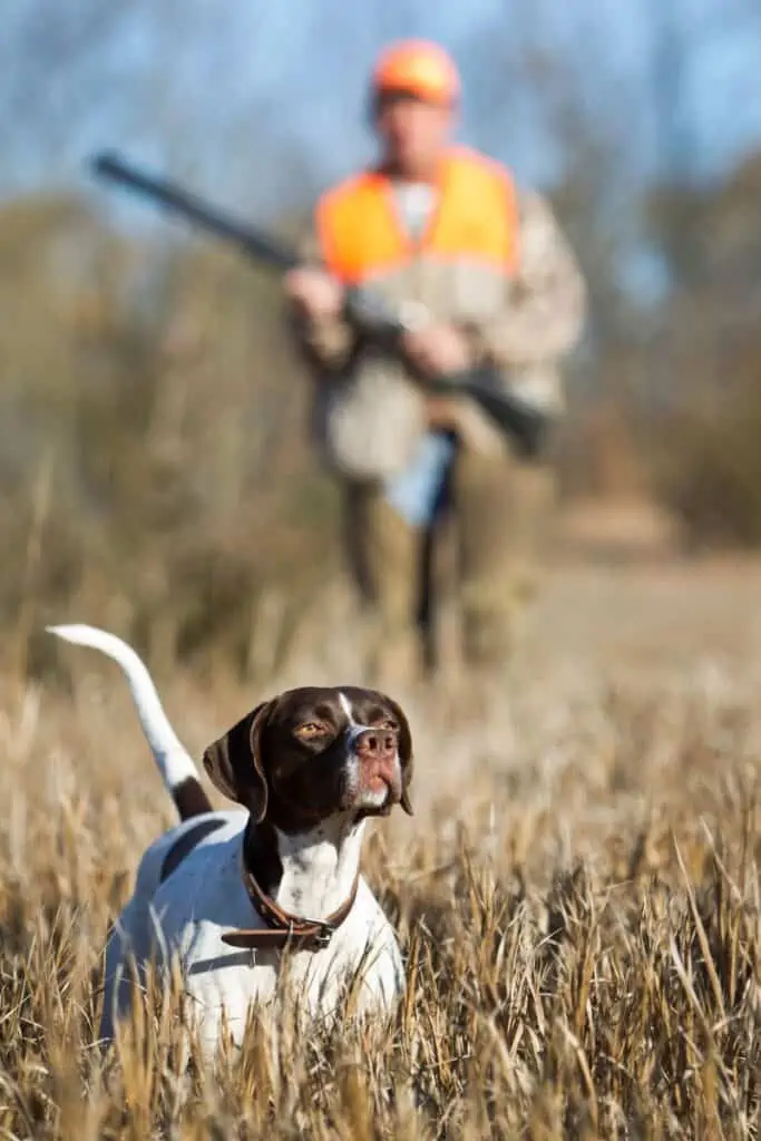 hunter with dog