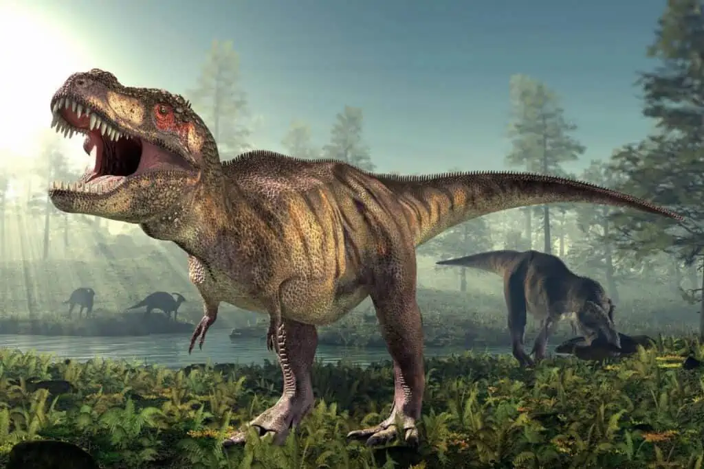 illustration of a t-rex dinosaur