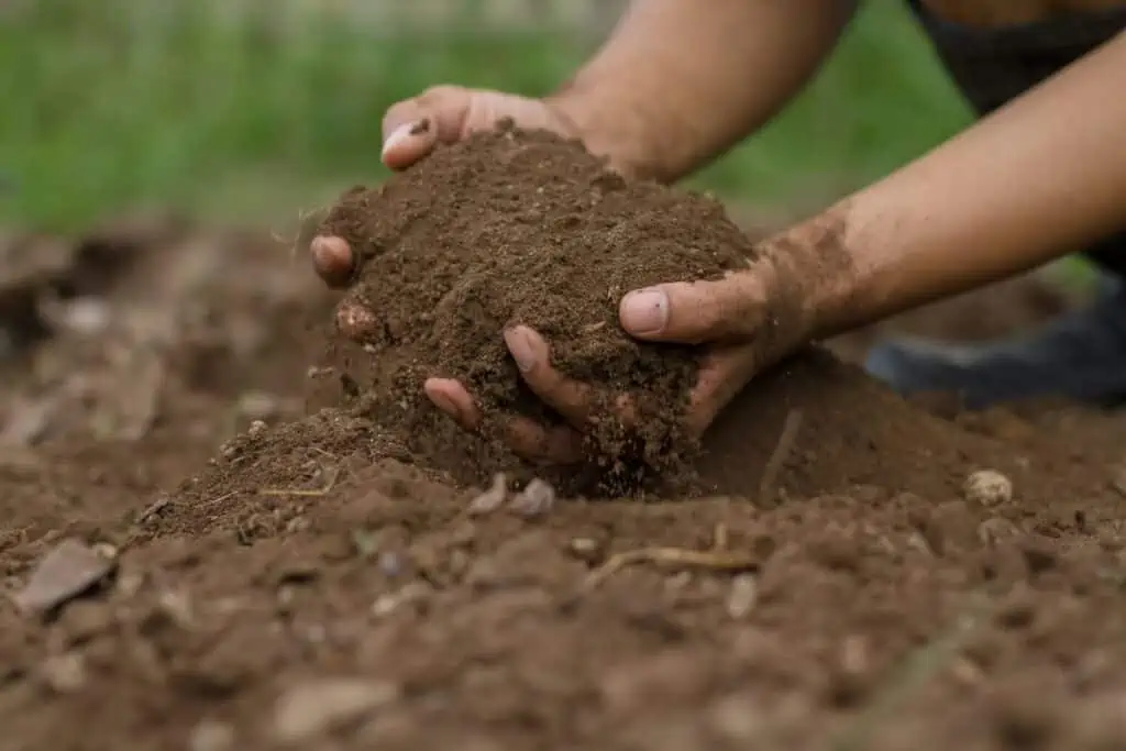 person with two hands full of soil