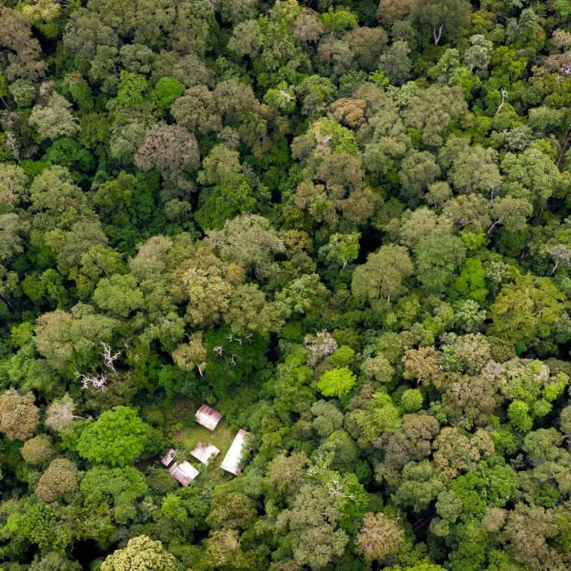 remote camp in the congo rainforest