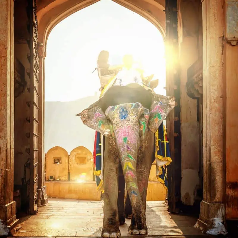 Indian decorated elephant with tourist entering through entrance