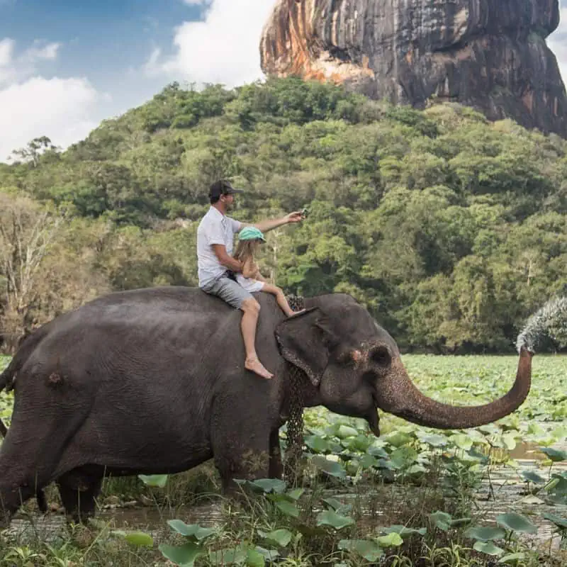 Man and child riding on the back of elephant in swamp