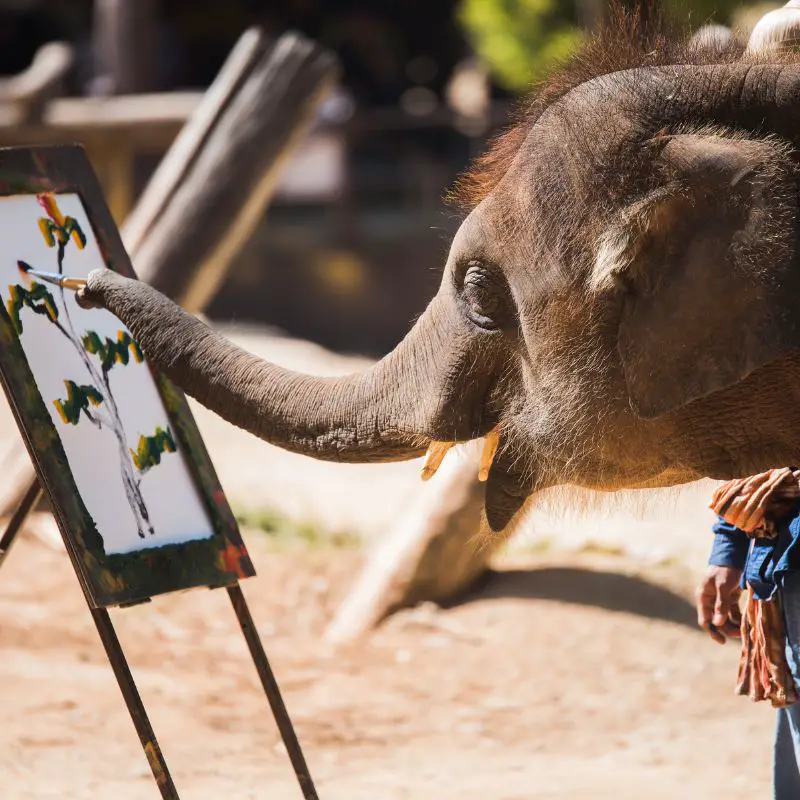 Elephant busy painting