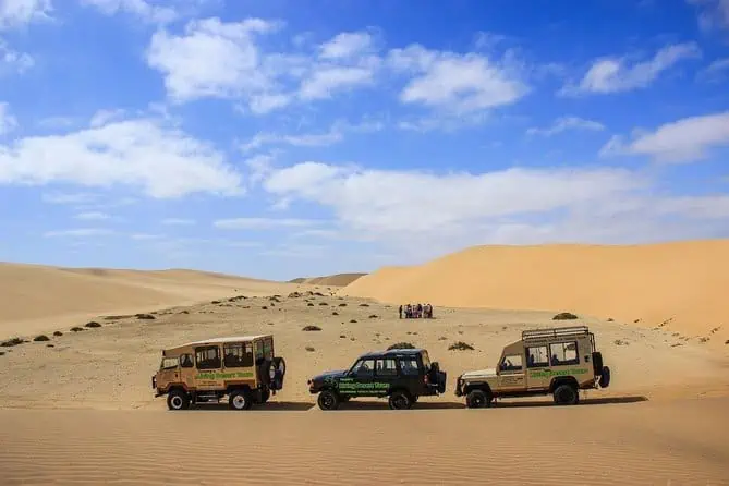 Safari vehicles in the dunes