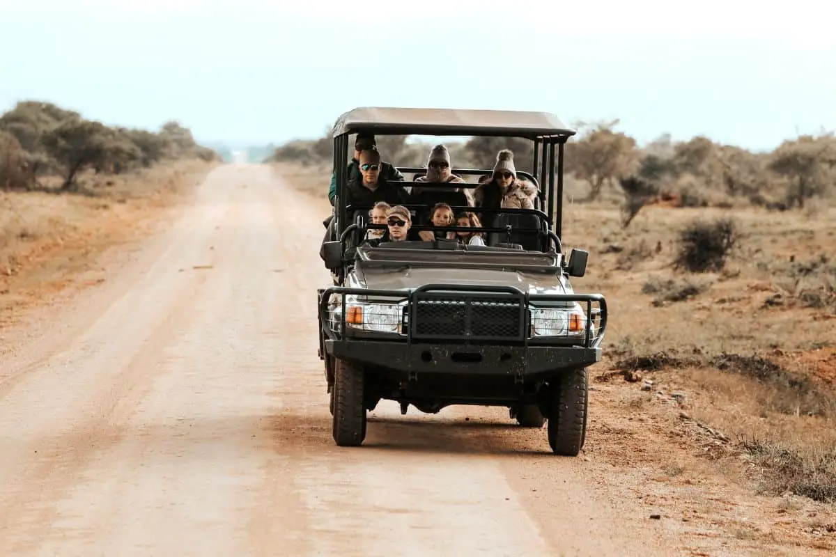 Safari vehicle in South Africa