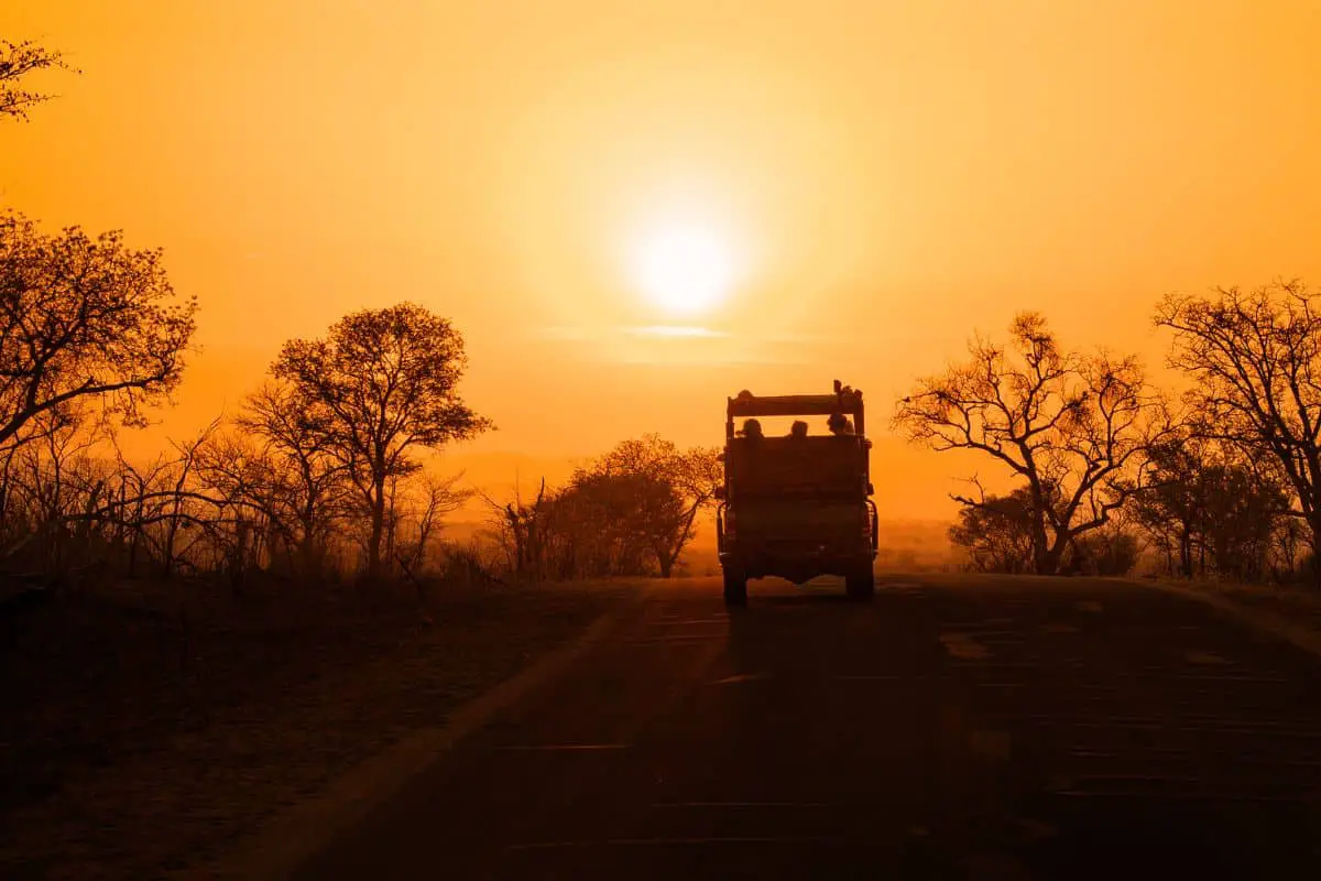 sunset safari