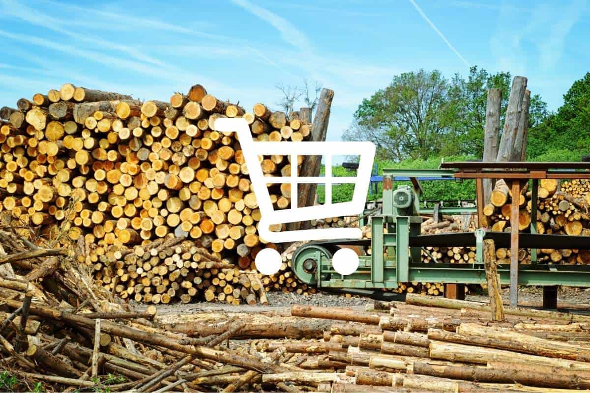 Are Wooden Products Sustainable? What to Look for Before You Buy